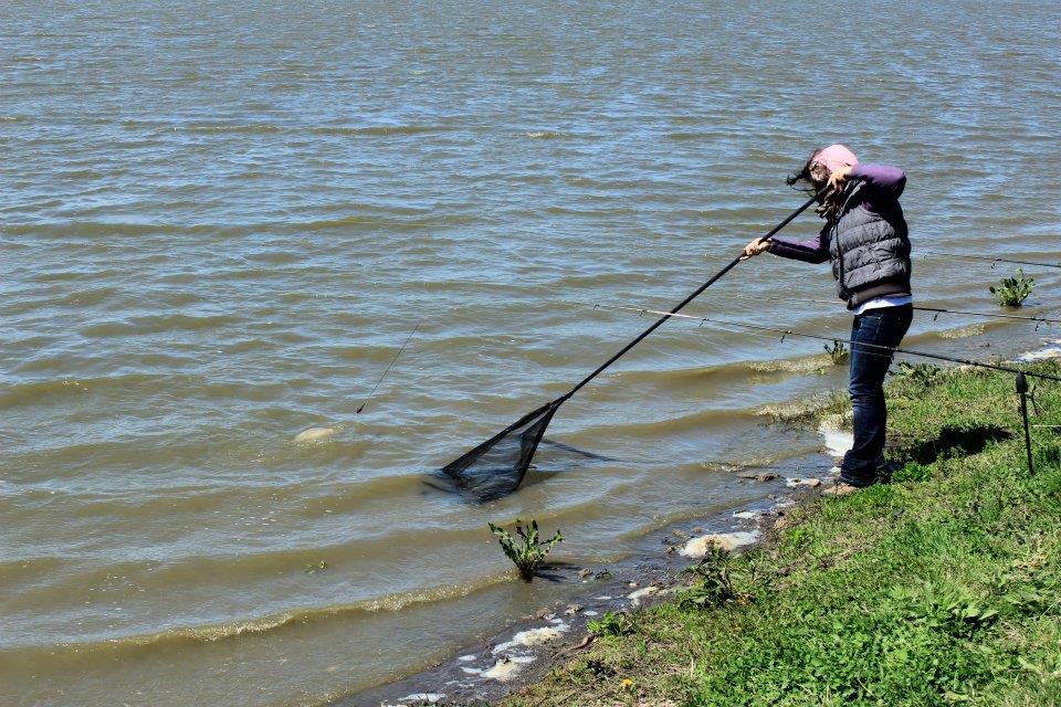 La Greaca Cercani in familie - Sotia la treaba
